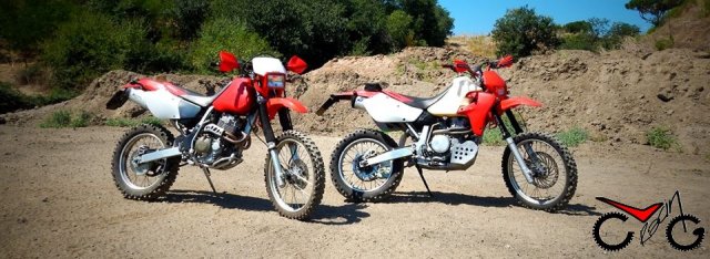 xxr