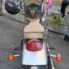 sella-moto-stradali_29